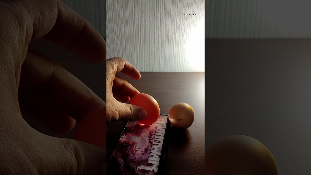 проверка яиц овоскопом в магазинах